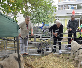 Besucherinnen erfreuen sich an tierischem Besuch