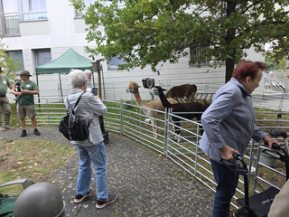 Bewohnerinnen besuchen mobilen Streichelzoo